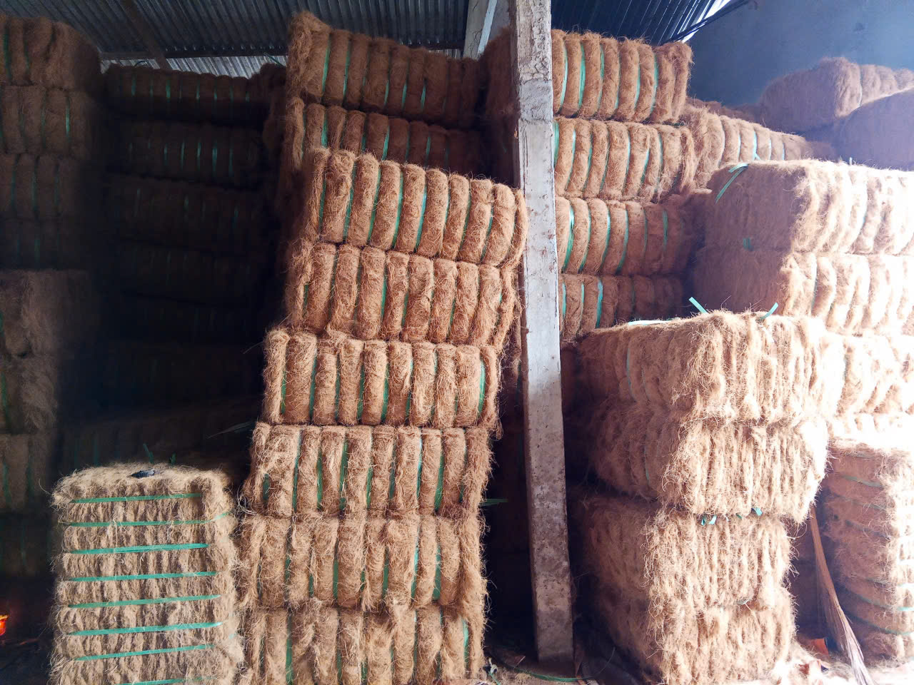 COCONUT FIBER 
